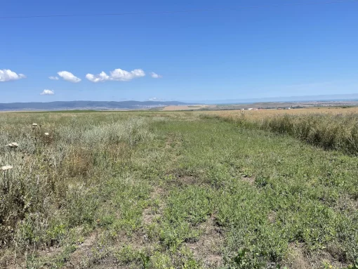 Building land plot for sale about complex development, facing an asphalt road near the sea., Aleksandrovo, Bulgaria