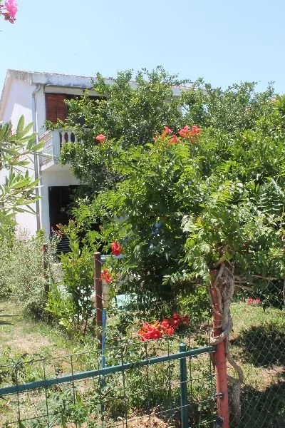 House in Ulcinj Municipality