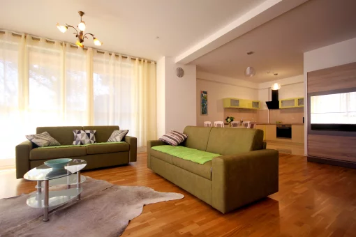 Apartment in Budva, Budva Municipality