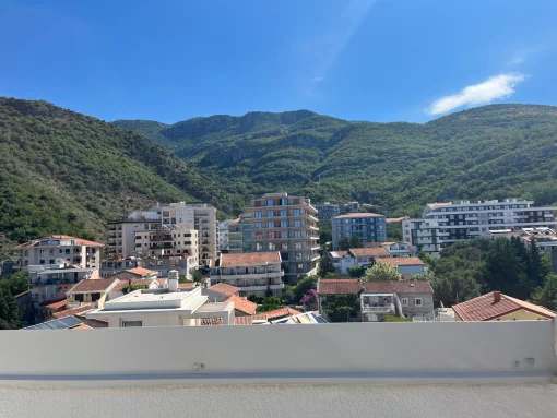 Apartment in Budva, Budva Municipality