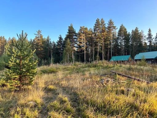 Plot in Zabljak, Borje, 578 m2, Montenegro