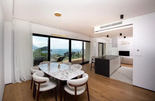 Apartment in Budva, Budva Municipality